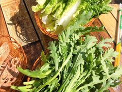 -木子人家(小桂湖店)