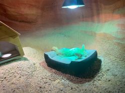 -酷嗒动物文化乐园(cutezoo西溪乐天城店)