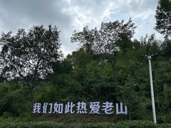 -南京老山国家森林公园