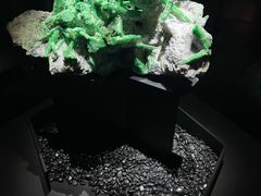 -浙江自然博物院(杭州馆)