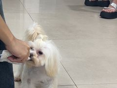 -佳雯宠物医院·皮肤科·内外科(春晓路分院)