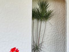 -Laures·月桂西班牙碳烤餐厅(十尚坊店)