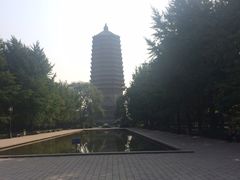 -玲珑塔公园