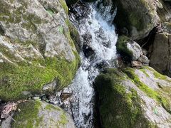 -香炉山国家森林公园