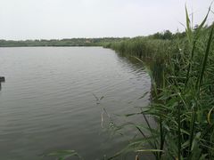 -西青郊野公园