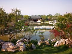 -上海滨江森林公园