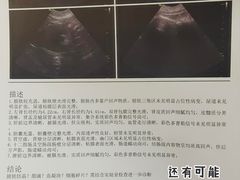 -宠爱国际动物医院·消化内科·心肾内科·ISFM猫友好(望京店)
