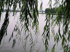 -济南大明湖景区