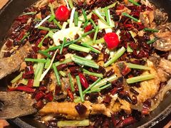 -老板恋上鱼(印象城店)