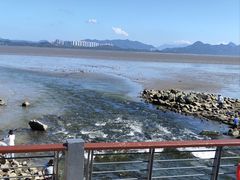 -深圳湾公园(南山区)