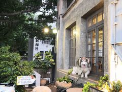 -more than meow吴止猫主题餐厅(承德 中船汇店)