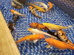 -盆满钵满·国家非遗传承(云台店)