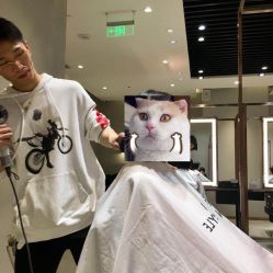 点击看大图 -崇尚GAVIN STYLE