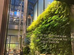-巴厘龙虾·榜首油焖大虾(洞庭·艺术洋房店)