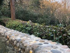 -天目湖涵田半山温泉