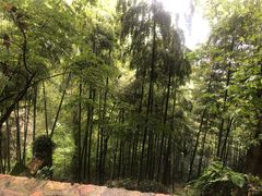 -莫干山风景区