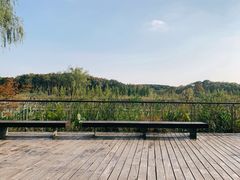 -昆山城市生态森林公园