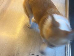 -鱼塘剧本推理桌游吧
