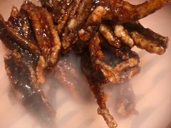 -凤凰湘语·湘粤鲜融(浦东旗舰店)