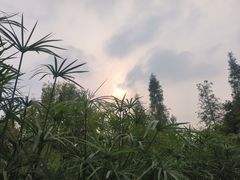 -宝光寺