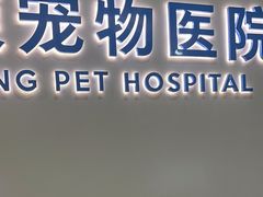 -阿荣24H宠物医院·综合型转诊中心·CT·核磁影像中心