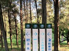 -元大都城垣遗址公园