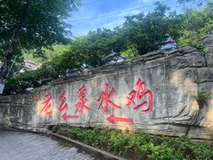 -老幺泉水鸡