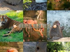 -无锡动物园·太湖欢乐园