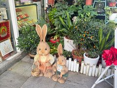 -FEI FEI FLOWER鲜花店·气球派对·宝宝宴布置(虹口德必运动Loft店)