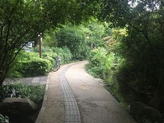 -成都市活水公园