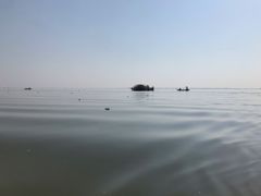 -洪湖生态旅游区