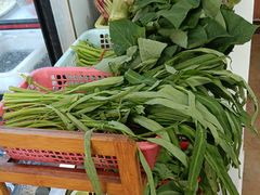 -品雅轩农家乐