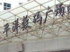 -太平洋数码广场