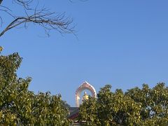 -庐山风景名胜区-东林大佛