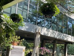 -缘生态云南菜·野生菌庭院餐厅(华侨城店)