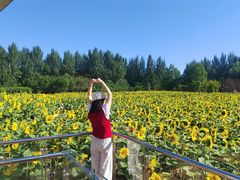 -长春公园(普阳街道)