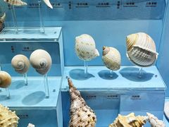 -温州博物馆