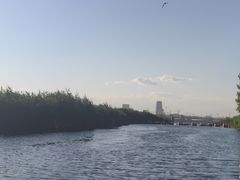 -白洋淀景区