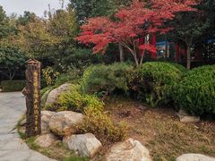 -观唐（国际）度假村温泉