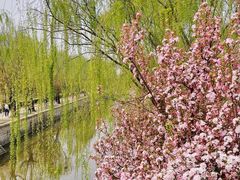 -元大都城垣遗址公园