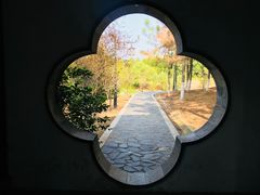 -八大山人梅湖景区