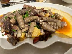 -华盛丰温州大排档(东三环南路店)