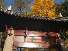 -汇龙潭