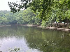 -灵谷景区