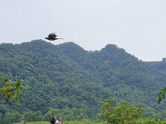 -中国茶叶博物馆(双峰馆区)