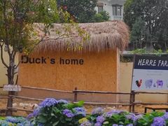 -HERRE·FARM 赫尔露营农场·团建聚会包场