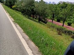 -鹤之洲湿地公园