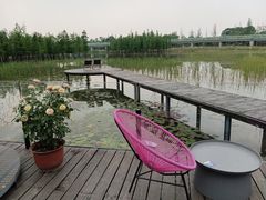 -白鹭湾湿地公园