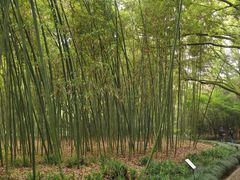 -兰亭风景区