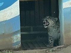 -青藏高原野生动物园